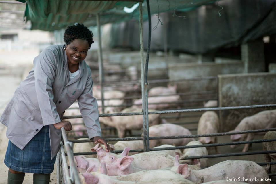 Do You Own A farm? And Are You Looking For A Software To Manage Your Farm Operations ?